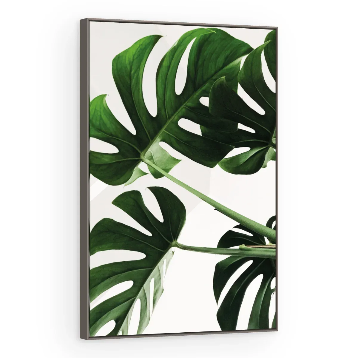Quadro Decorativo Canvas Monstera Natural - FO0060