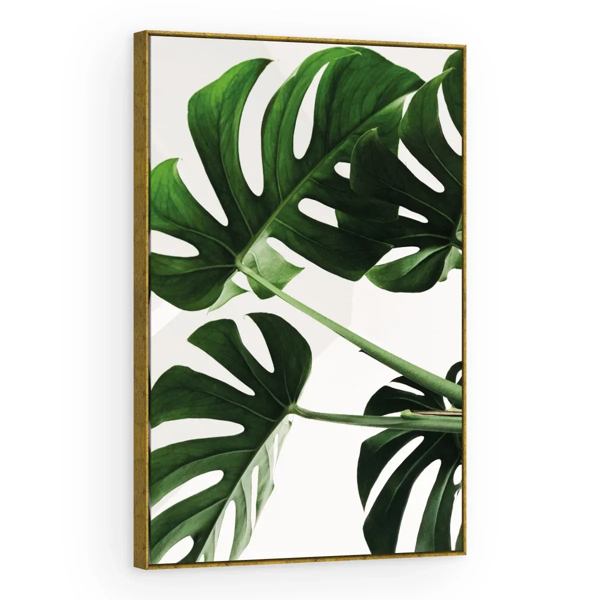 Quadro Decorativo Canvas Monstera Natural - FO0060