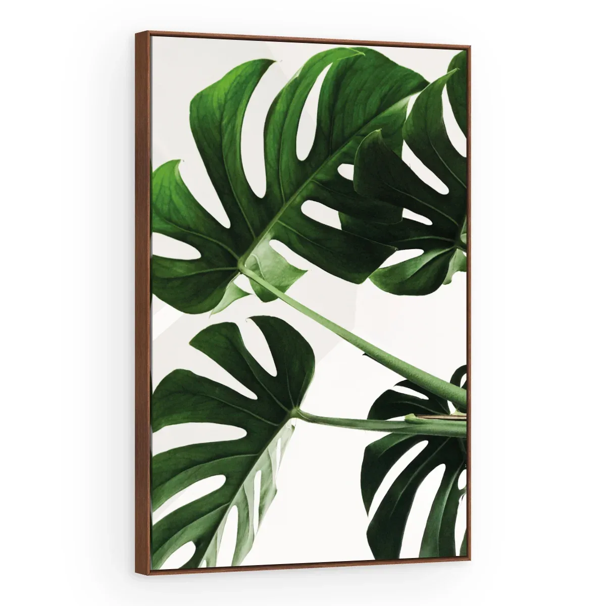 Quadro Decorativo Canvas Monstera Natural - FO0060