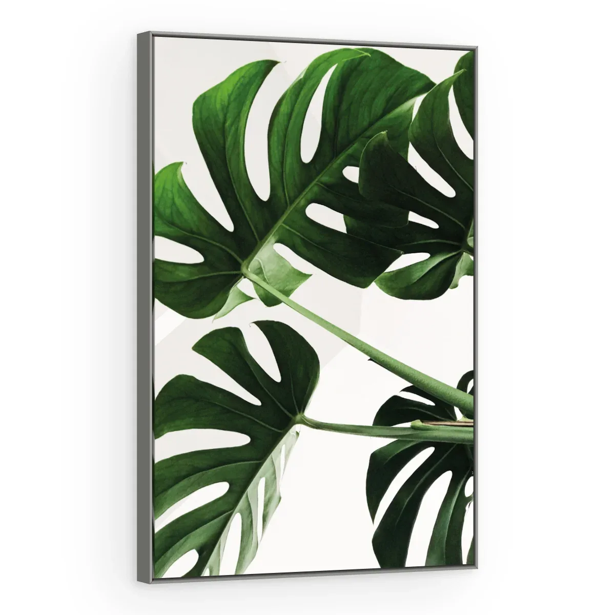 Quadro Decorativo Canvas Monstera Natural - FO0060