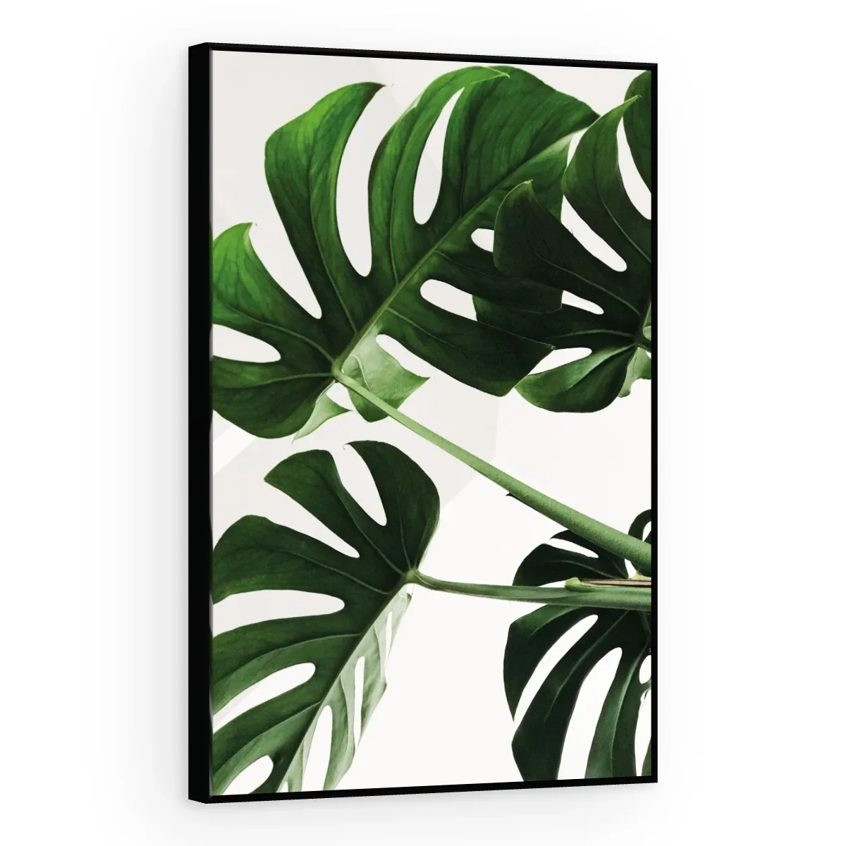Quadro Decorativo Canvas Monstera Natural - FO0060