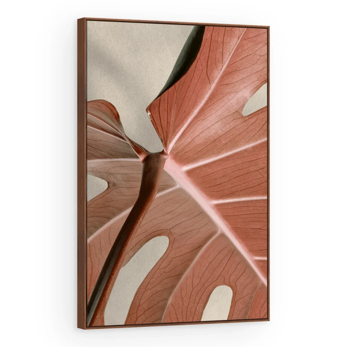 Quadro Decorativo Canvas Monstera Rosé - FO0063