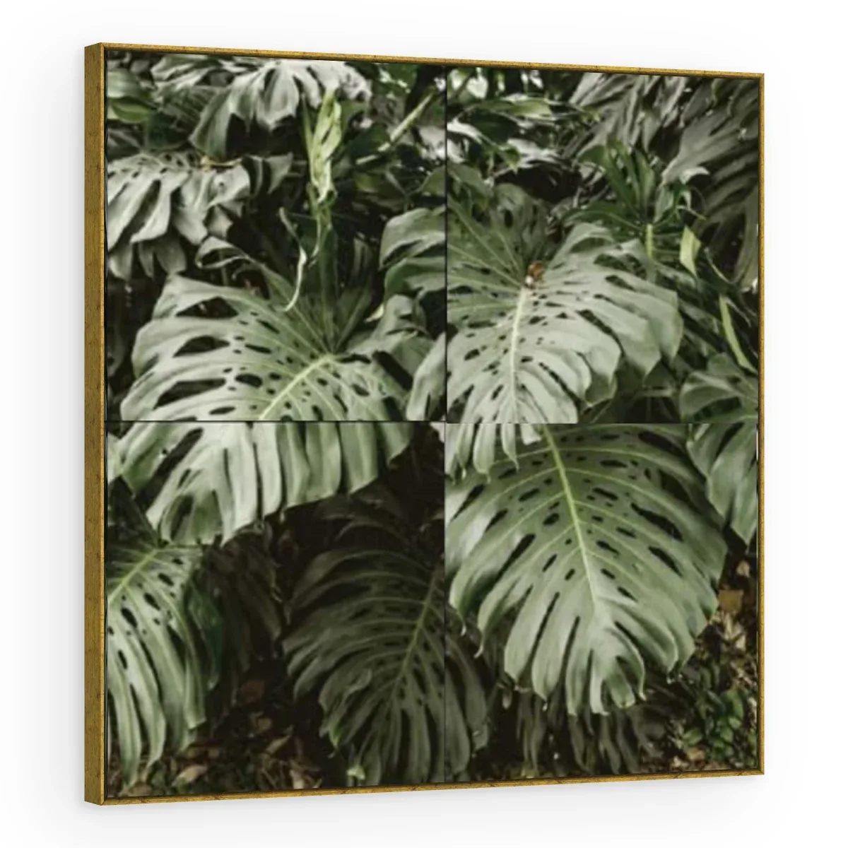 Quadro Decorativo Canvas Monstera Verdejante - FO0064