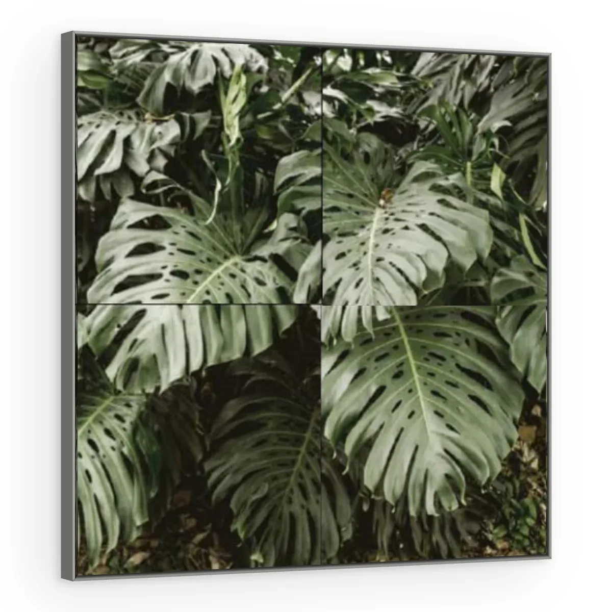 Quadro Decorativo Canvas Monstera Verdejante - FO0064