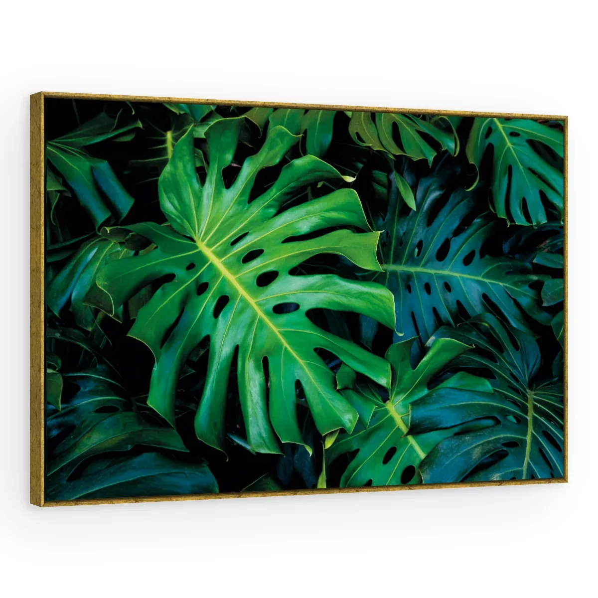 Quadro Decorativo Canvas Monstera Selvagem - FO0066