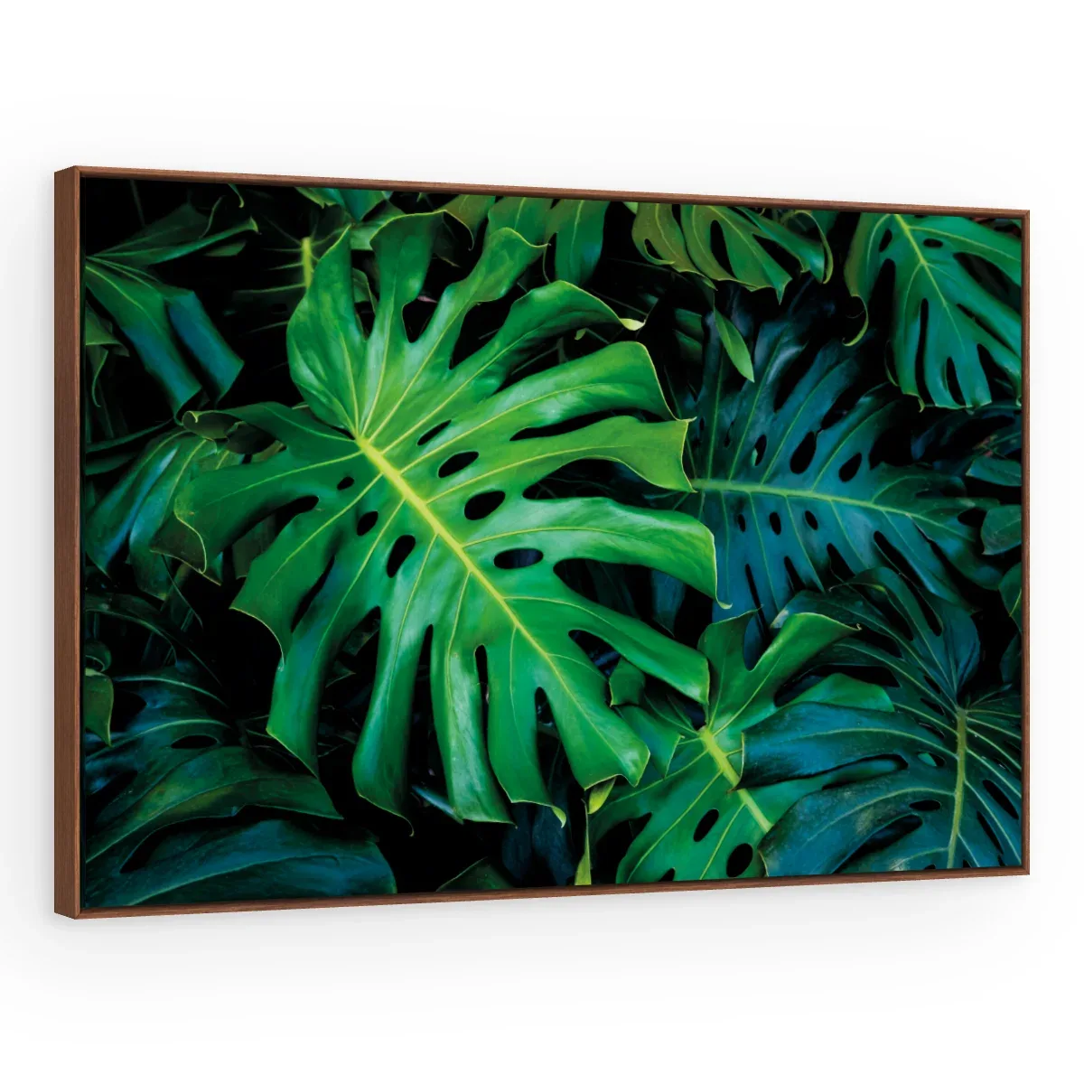 Quadro Decorativo Canvas Monstera Selvagem - FO0066