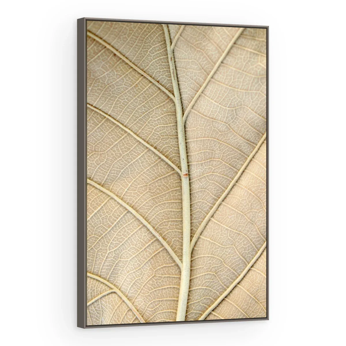 Quadro Decorativo Canvas Nervuras Naturais - FO0067
