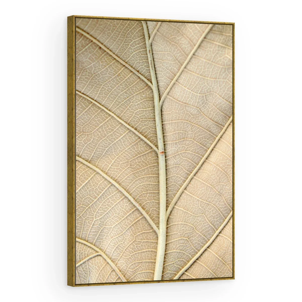Quadro Decorativo Canvas Nervuras Naturais - FO0067