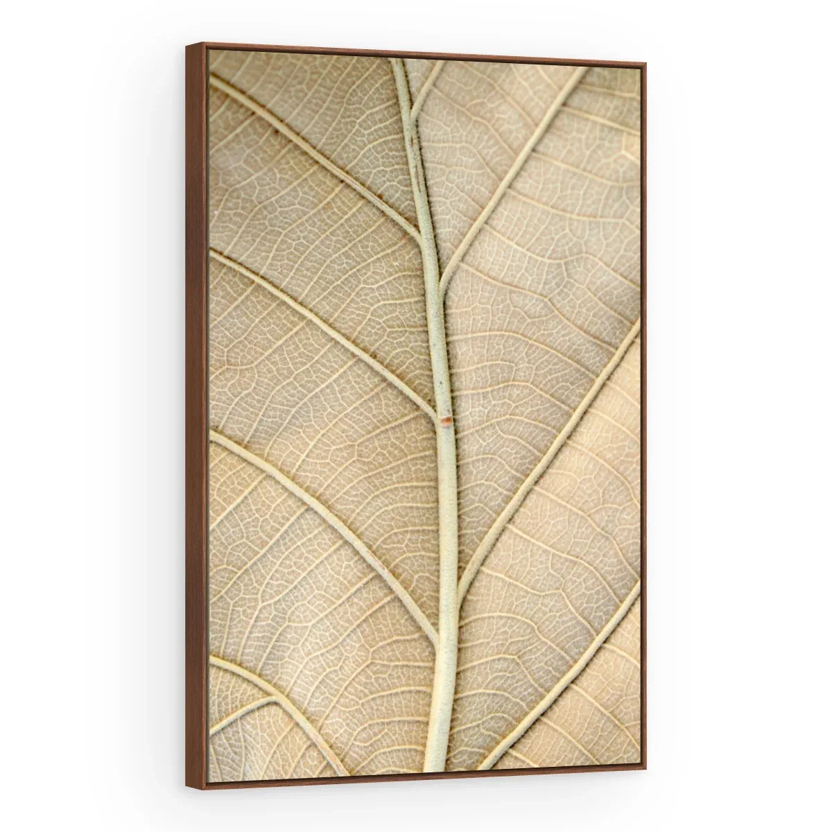 Quadro Decorativo Canvas Nervuras Naturais - FO0067