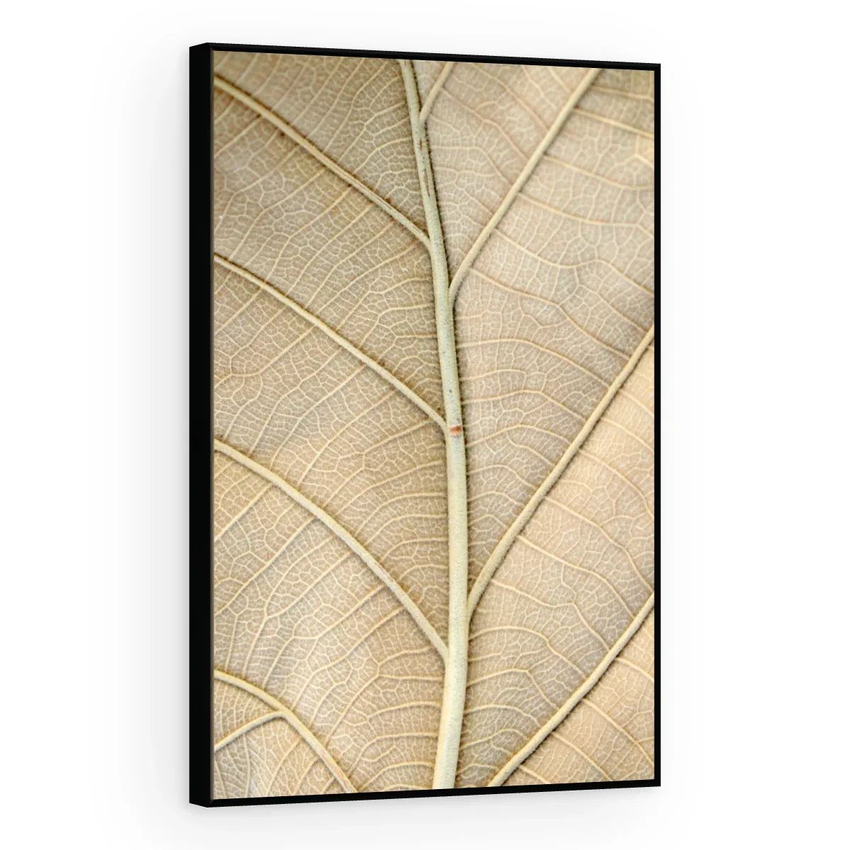 Quadro Decorativo Canvas Nervuras Naturais - FO0067