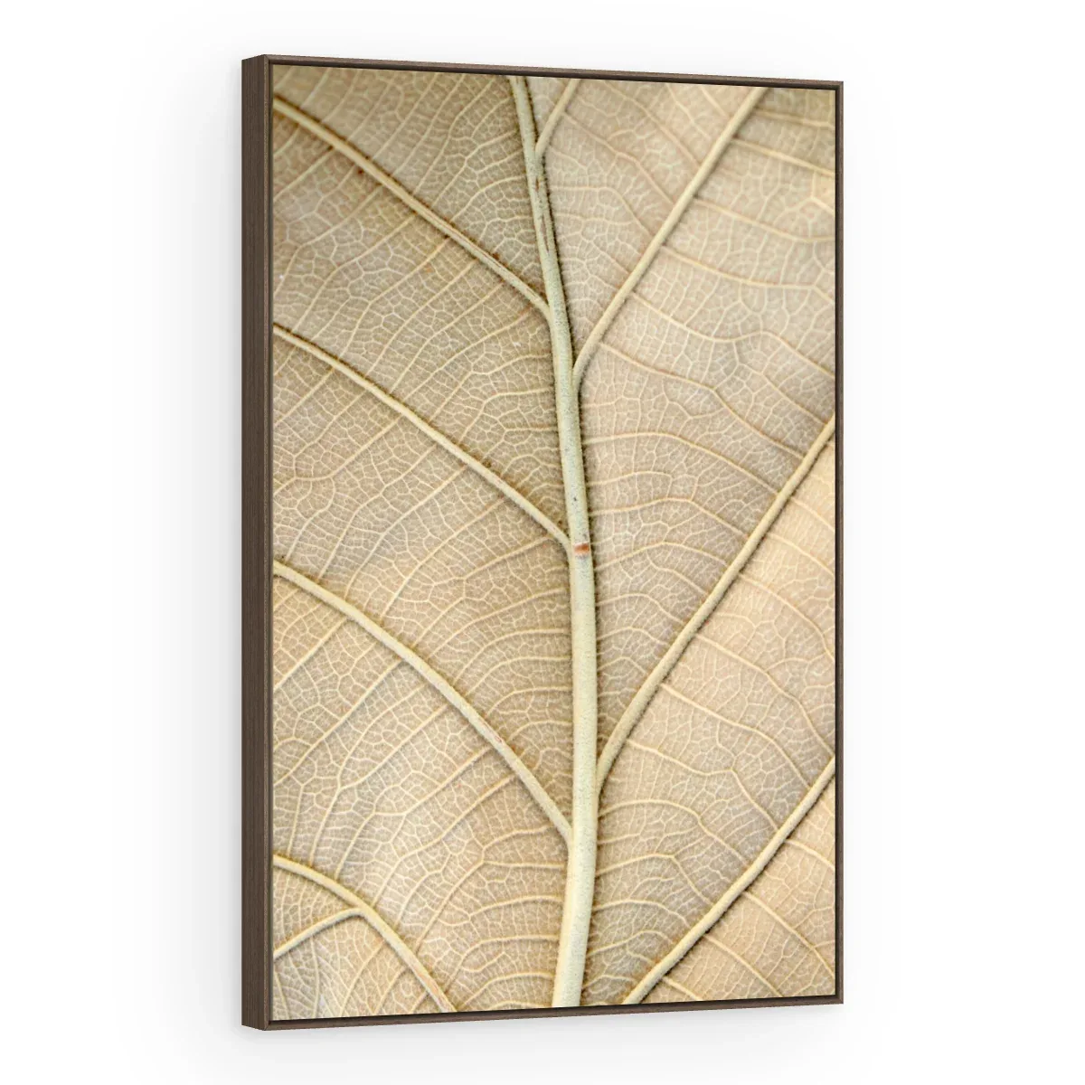 Quadro Decorativo Canvas Nervuras Naturais - FO0067