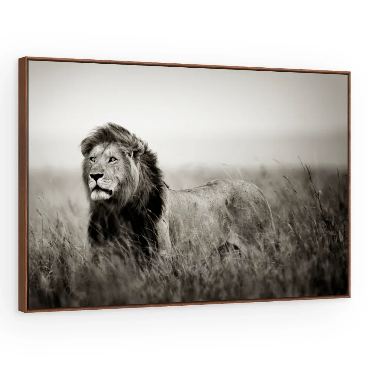Quadro Decorativo Canvas Leão Monocromático - LE0002