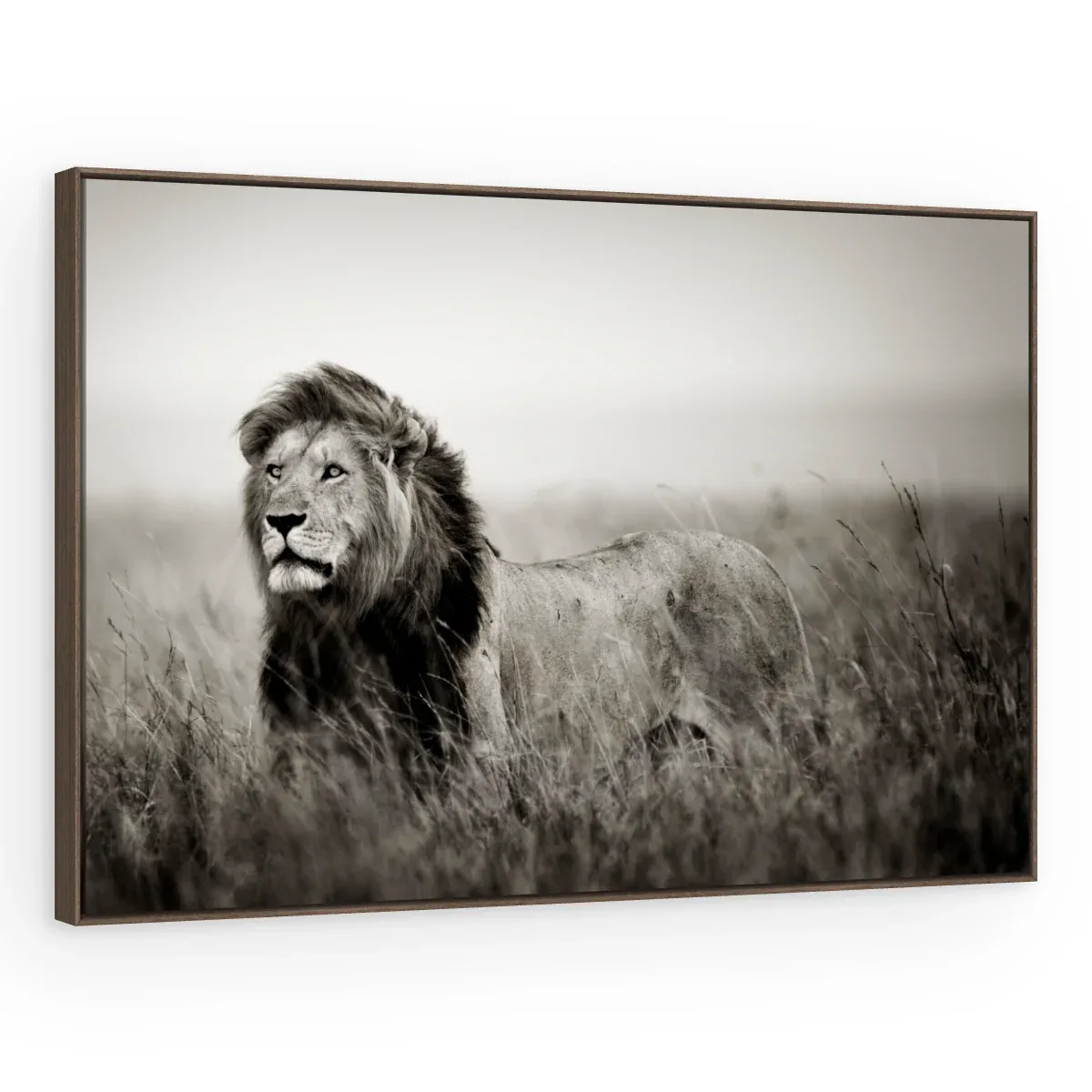 Quadro Decorativo Canvas Leão Monocromático - LE0002