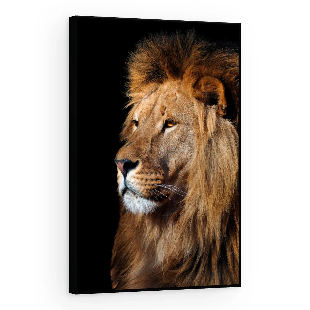 Quadro Decorativo Canvas Leão Imponente - LE0003