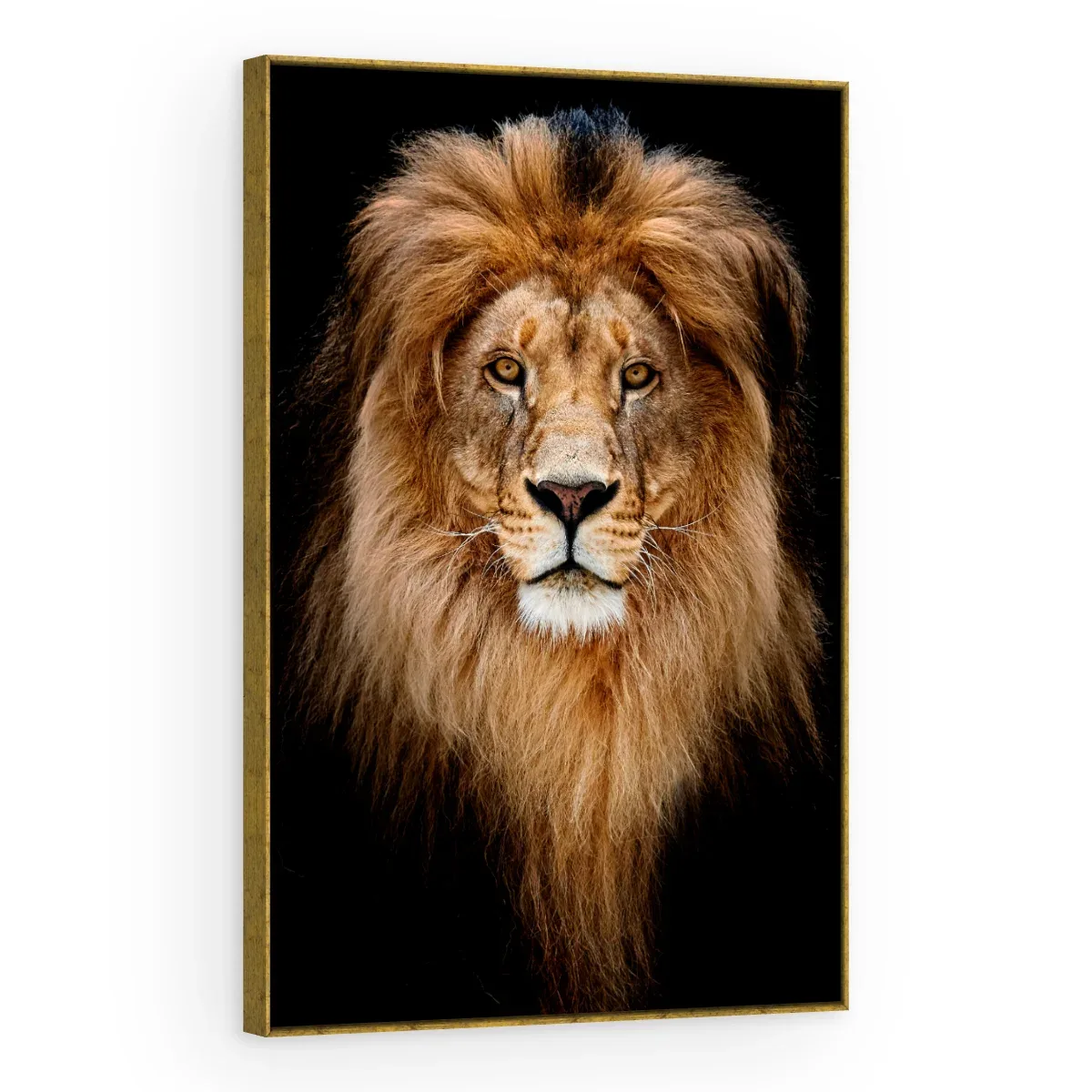 Quadro Decorativo Canvas Leão Frontal - LE0004