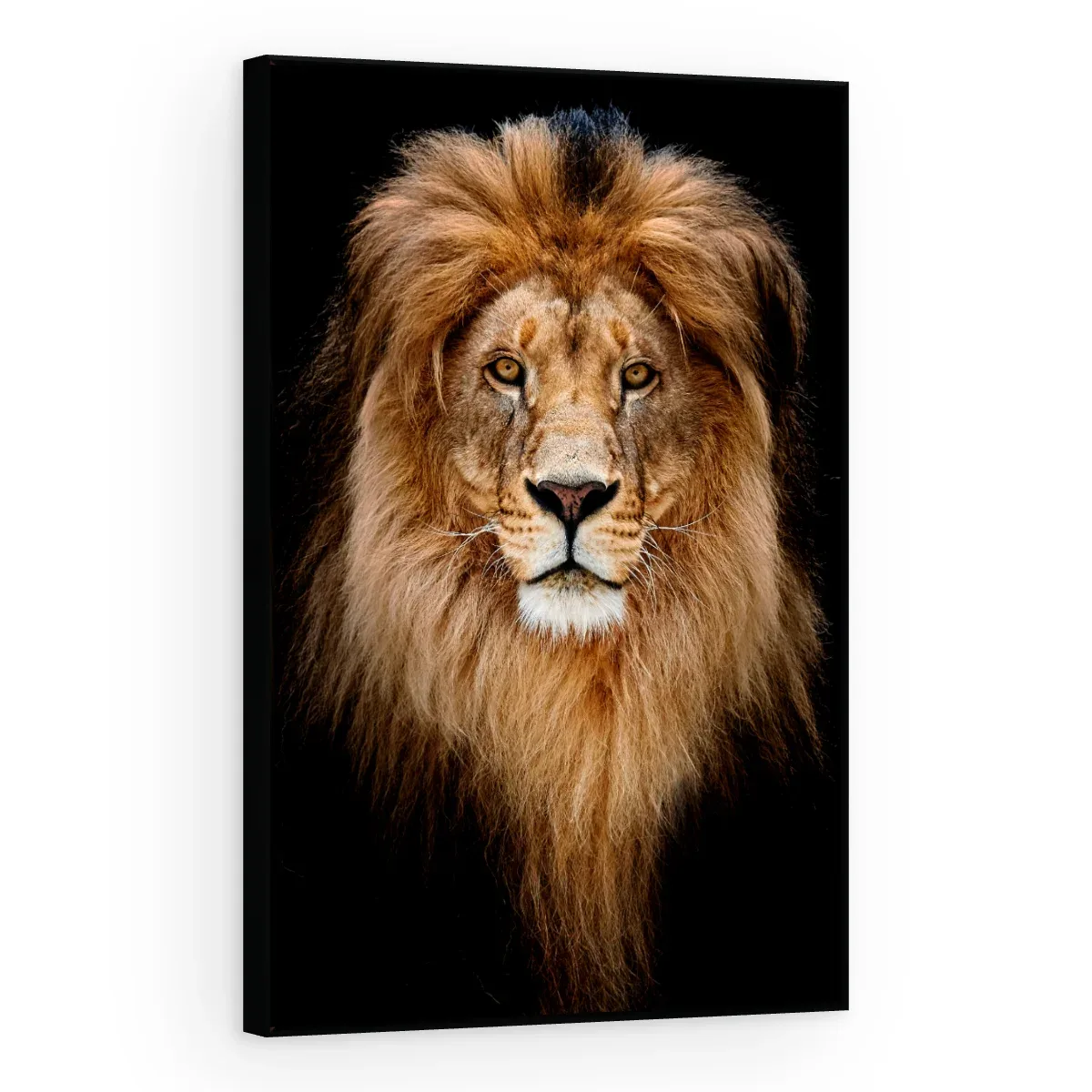 Quadro Decorativo Canvas Leão Frontal - LE0004