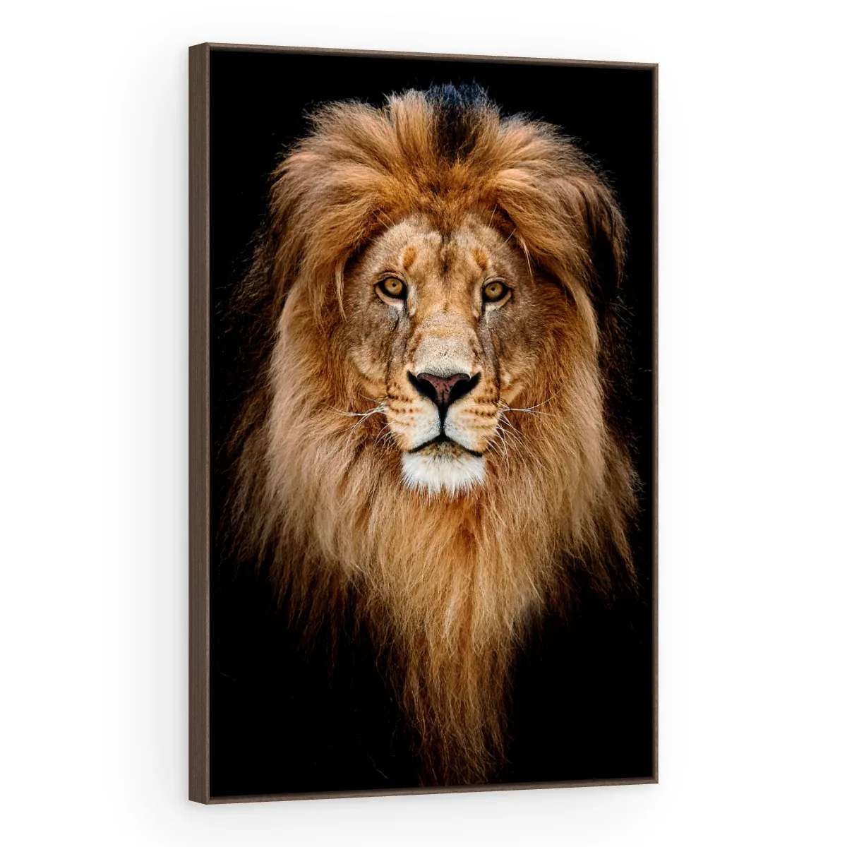 Quadro Decorativo Canvas Leão Frontal - LE0004