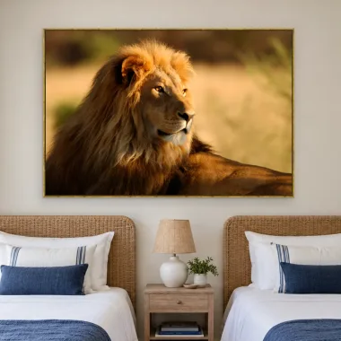 Quadro Decorativo Canvas Leão Savana - LE0005