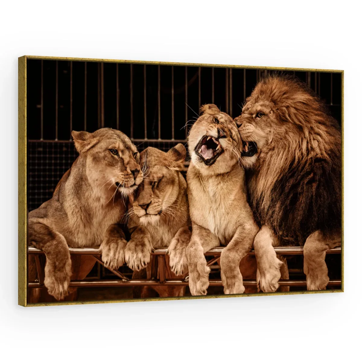 Quadro Decorativo Canvas Família Leonina - LE0012