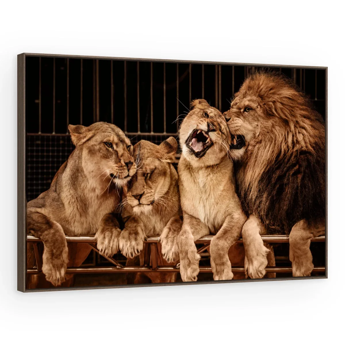 Quadro Decorativo Canvas Família Leonina - LE0012