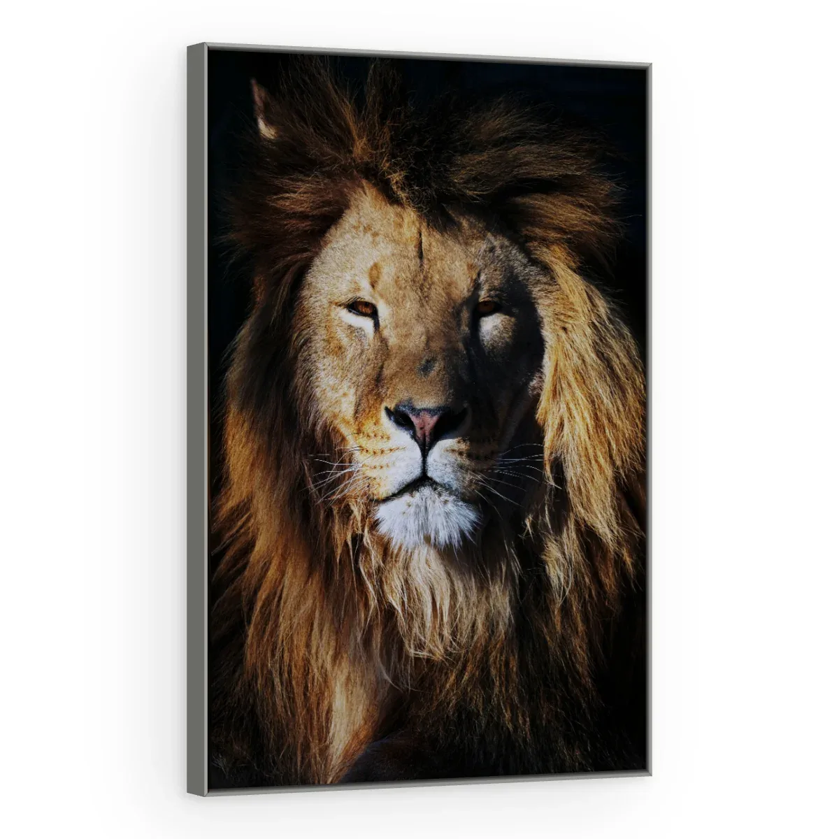 Quadro Decorativo Canvas Leão Guerreiro - LE0013