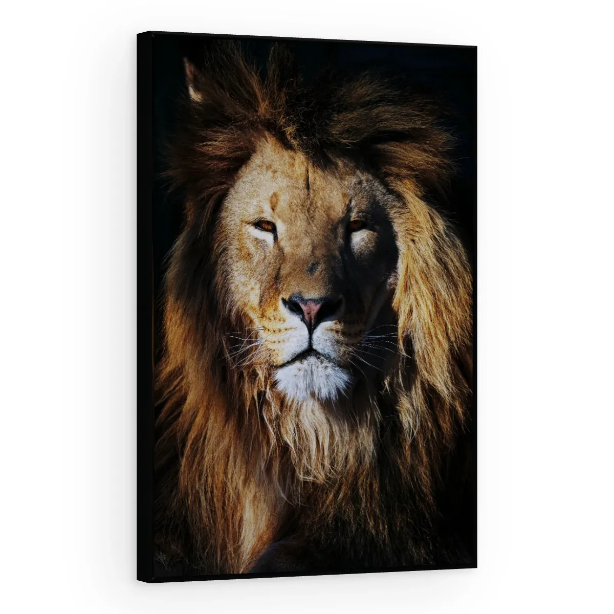 Quadro Decorativo Canvas Leão Guerreiro - LE0013