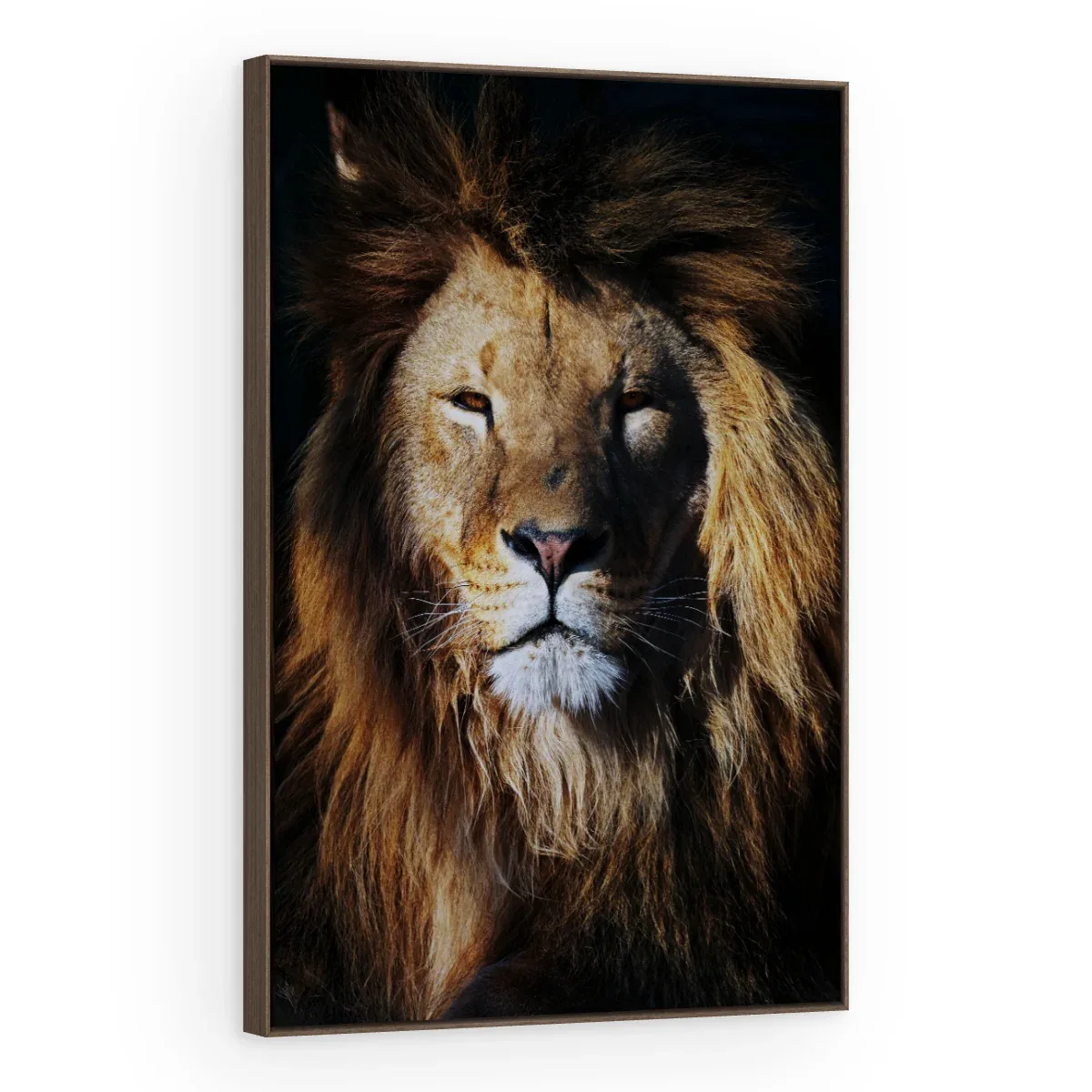 Quadro Decorativo Canvas Leão Guerreiro - LE0013