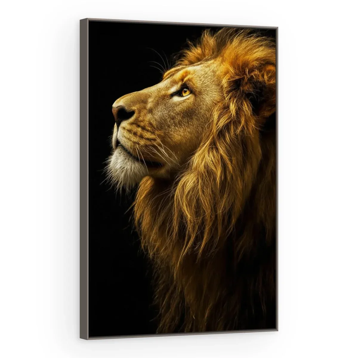 Quadro Decorativo Canvas Leão Contemplativo - LE0015