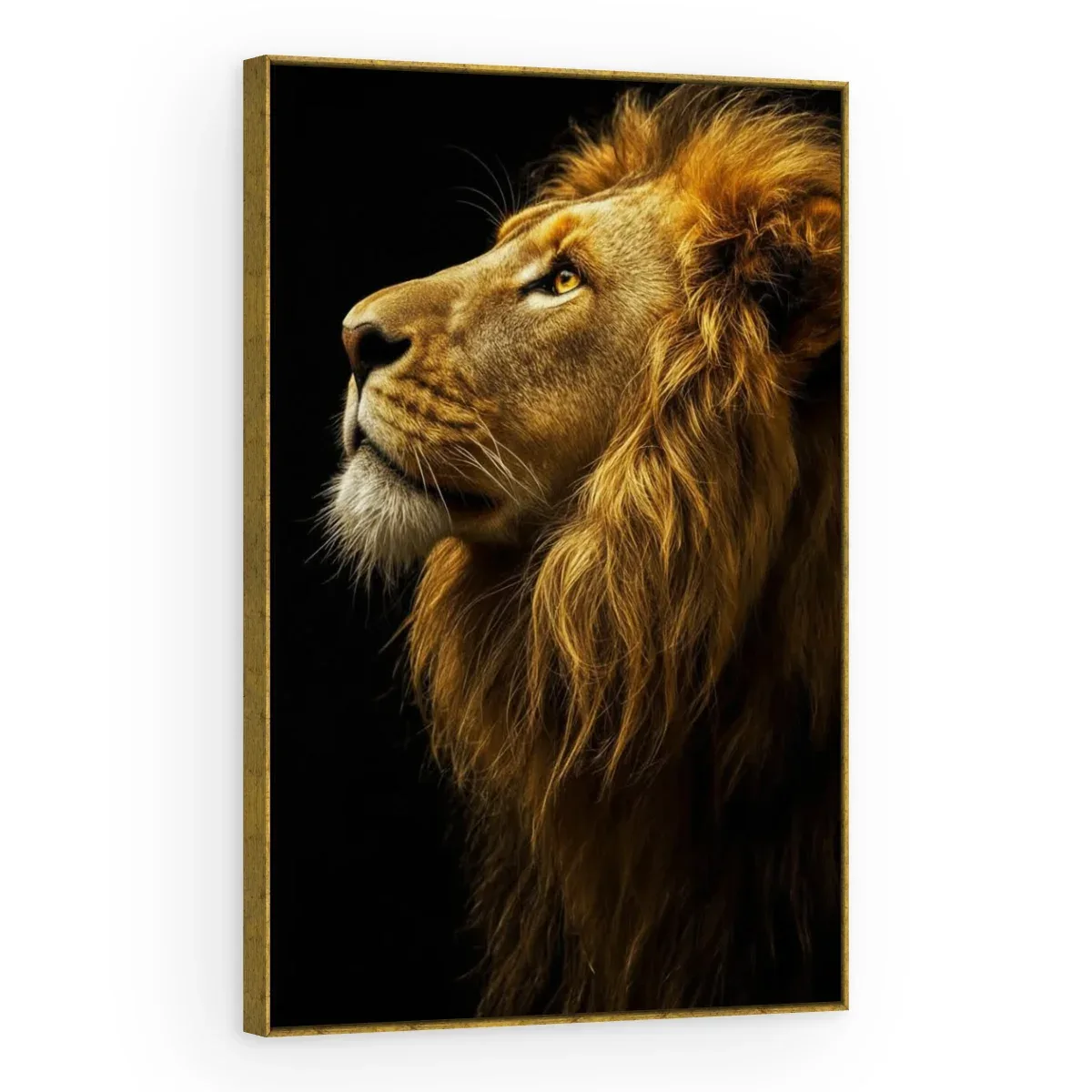 Quadro Decorativo Canvas Leão Contemplativo - LE0015