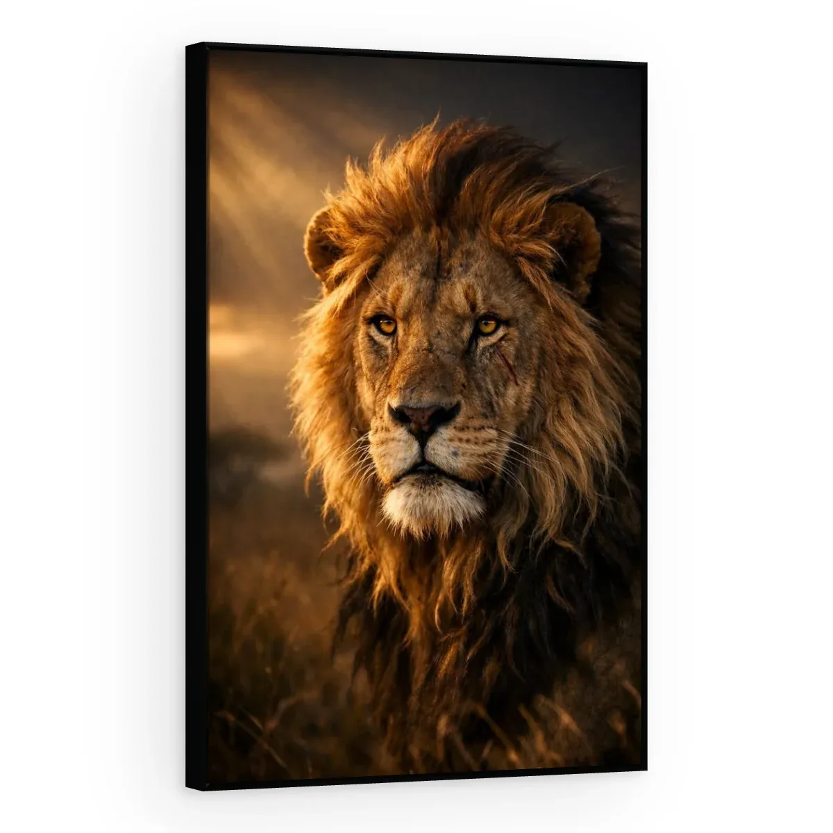 Quadro Decorativo Canvas Leão Selvagem - LE0018