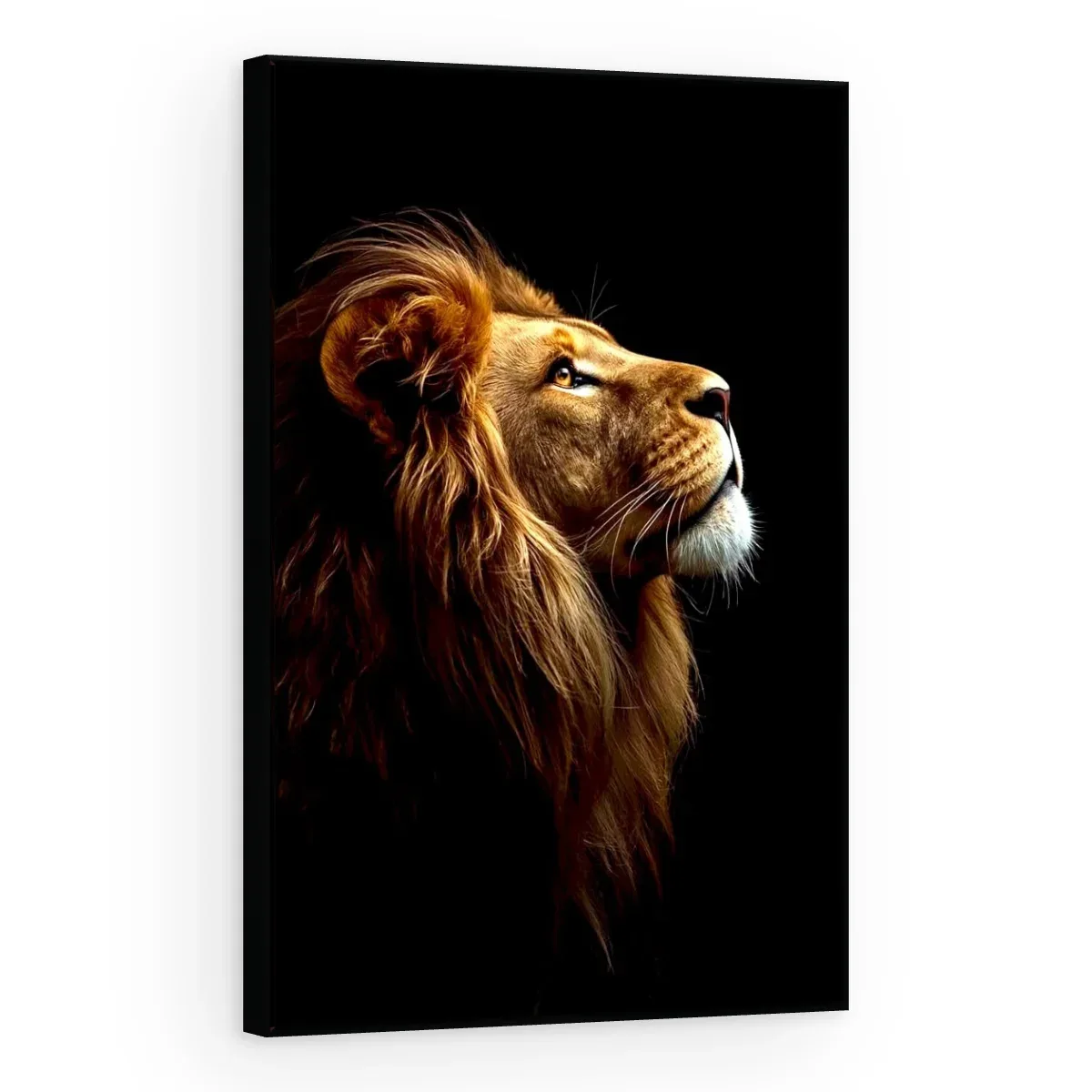 Quadro Decorativo Canvas Leão Noturno - LE0020