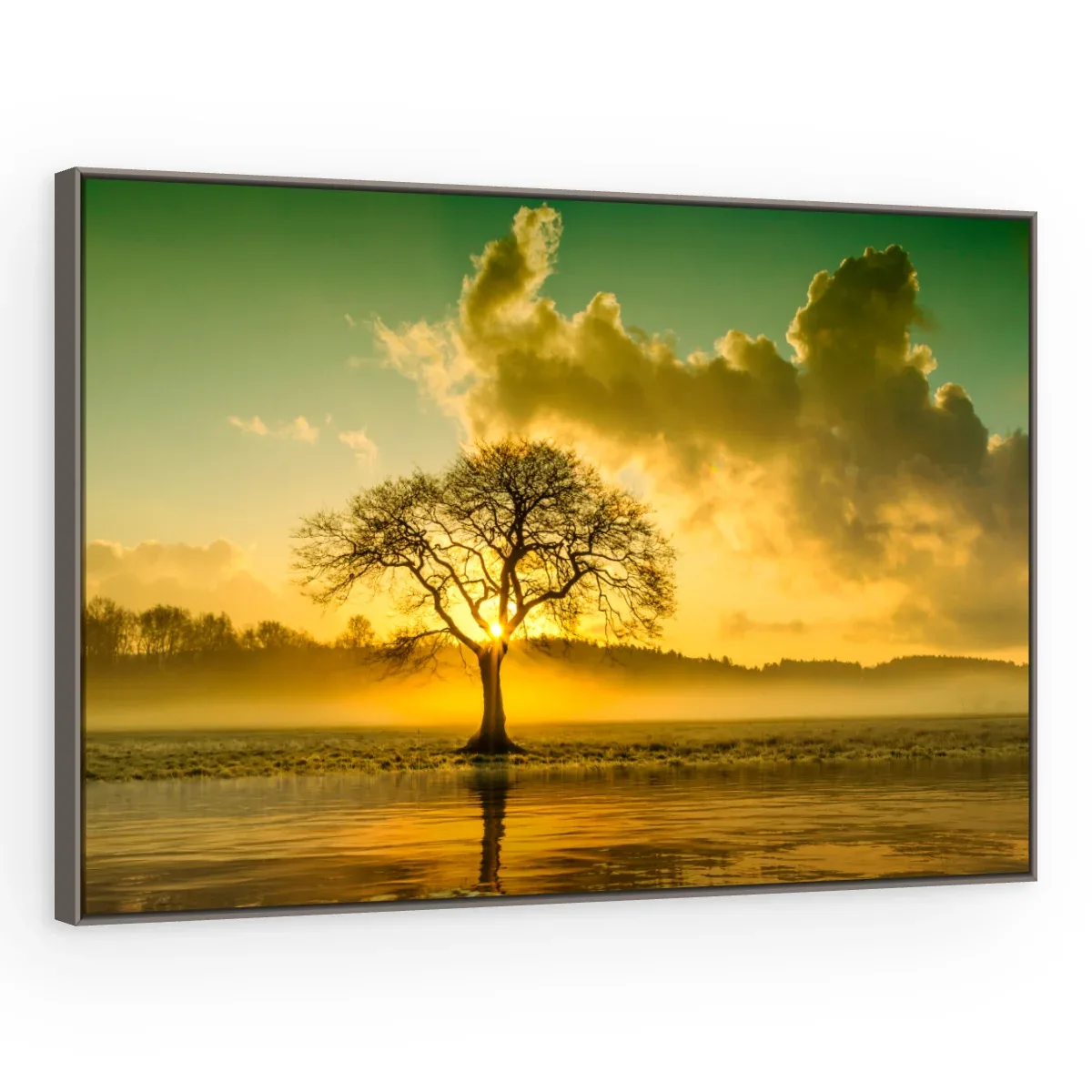 Quadro Decorativo Canvas Árvore Poente - PA0005