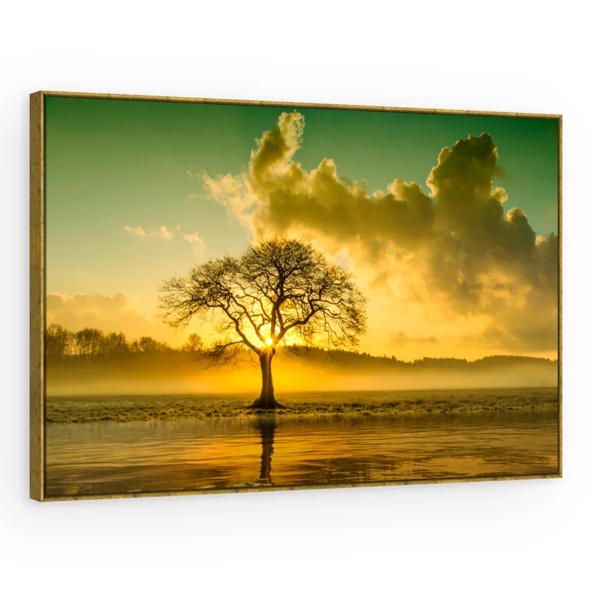 Quadro Decorativo Canvas Árvore Poente - PA0005