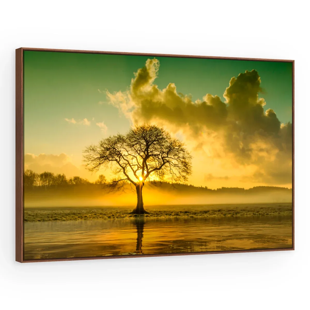 Quadro Decorativo Canvas Árvore Poente - PA0005
