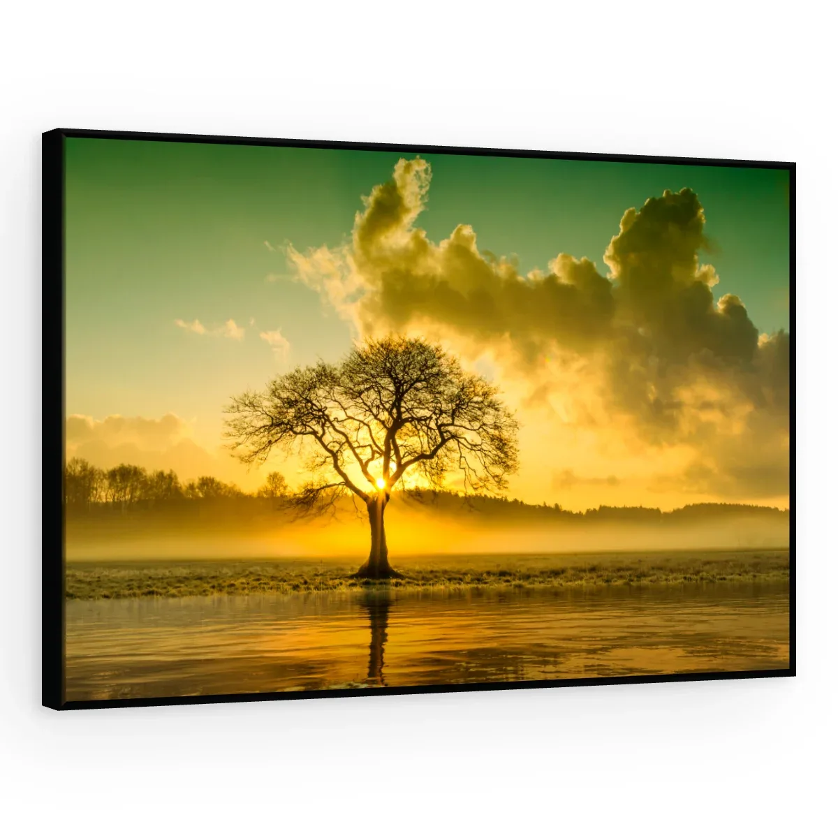 Quadro Decorativo Canvas Árvore Poente - PA0005