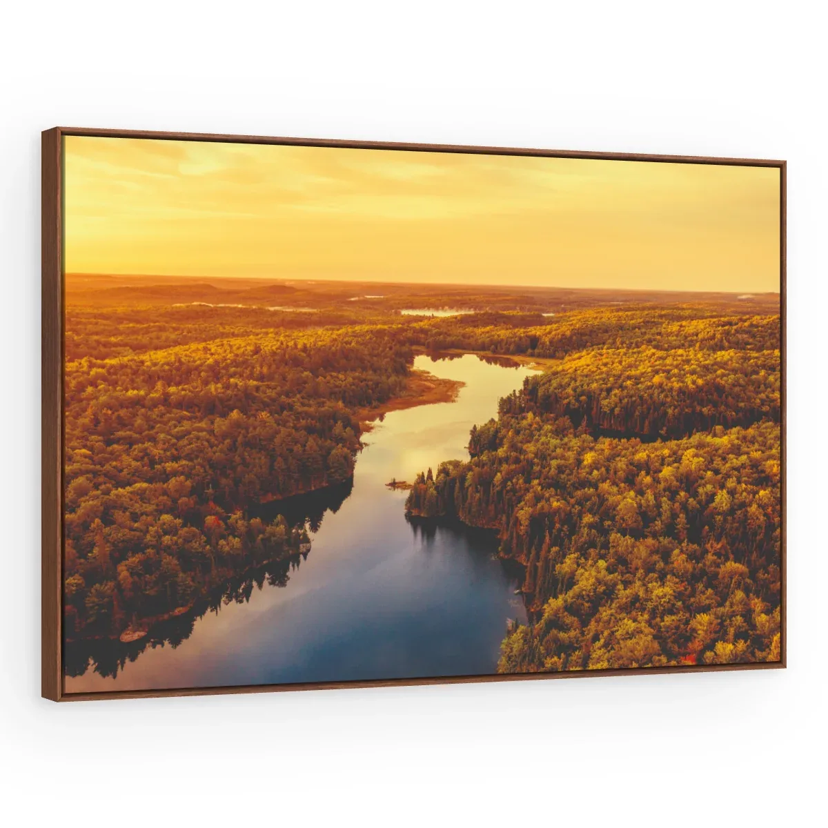 Quadro Decorativo Canvas Rio Dourado - PA0041