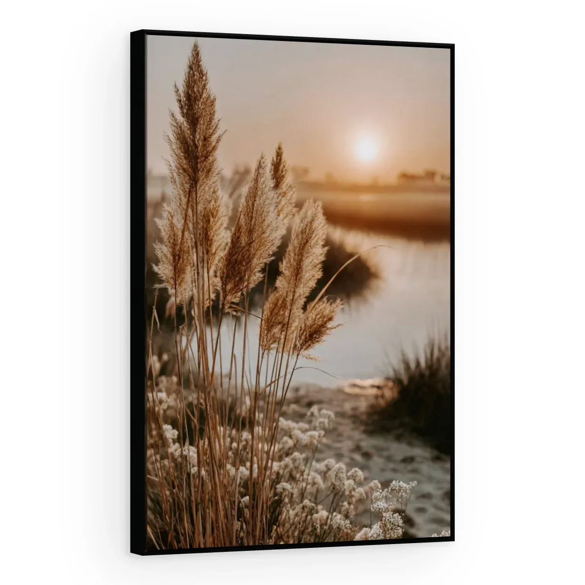Quadro Decorativo Canvas Capim Pampas - PA0043